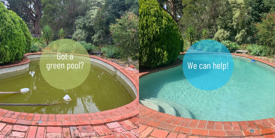 Green Pool Recovery Services - Sunarch Pool Care
